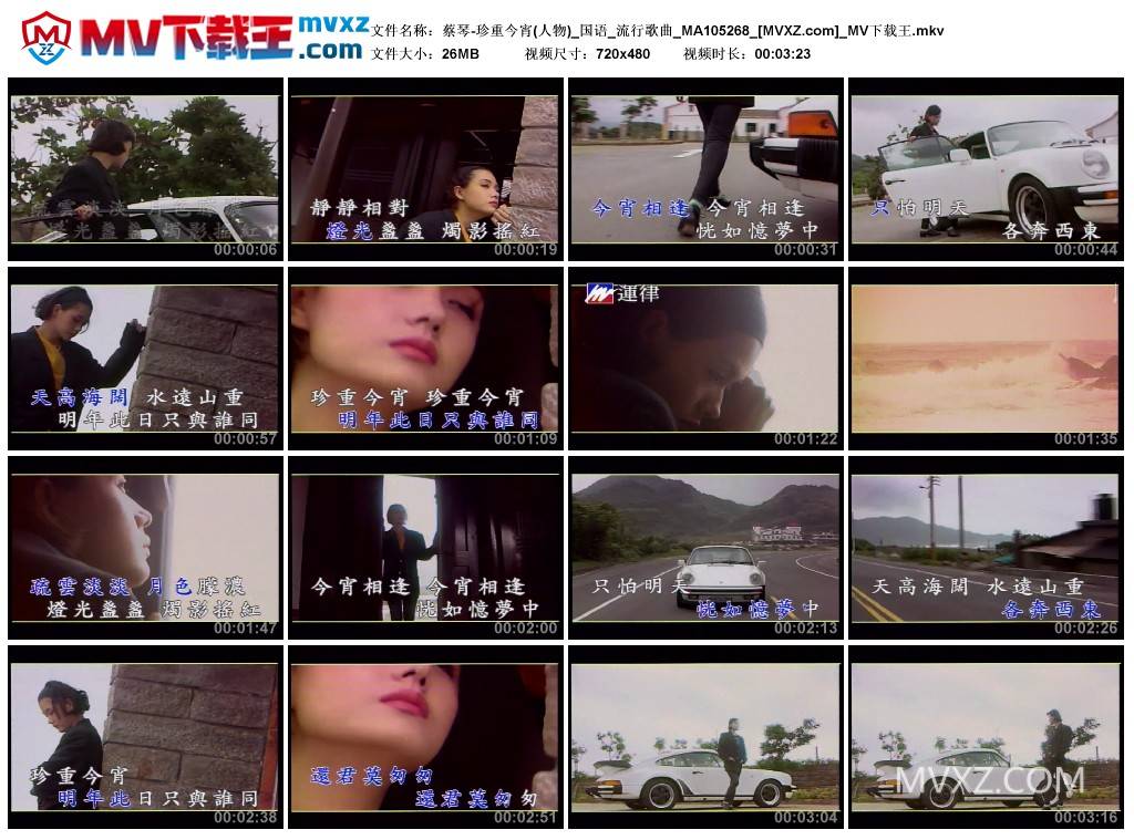 蔡琴-珍重今宵(人物)_国语_流行歌曲_MA105268